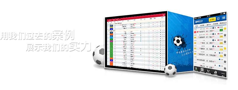 用我们过去的案例展示我们的实力